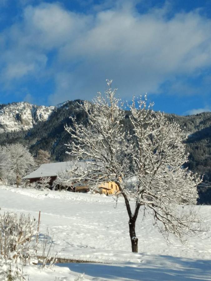 Gailtal Panorama Appartement Kotschach-Mauthen Buitenkant foto