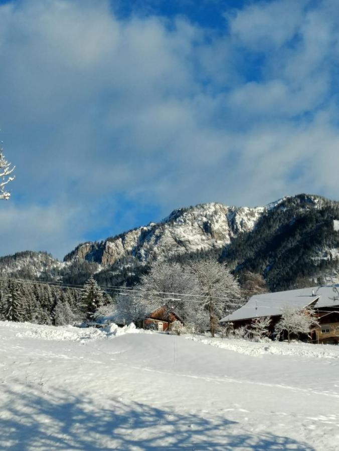 Gailtal Panorama Appartement Kotschach-Mauthen Buitenkant foto